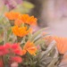 しまむらの「花柄スカート」を攻略!ロマンチックな仕上がりに♡